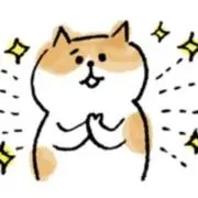 みかんの画像