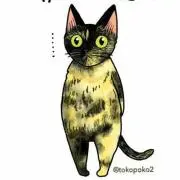 猫もよう 【プロフご覧ください】の画像