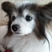 kumi❁プロフ必読の画像