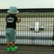 カエルの合唱♡の画像