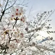 maco♠️プロフ必読の画像