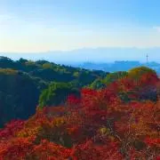 るーしーの画像