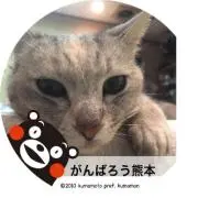 ノブ