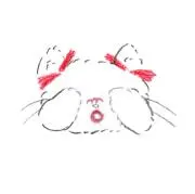 きゃん