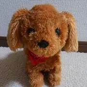 プリンちゃんの画像