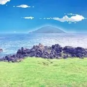 ダックの画像
