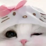 nya♡の画像