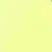 ぽぽの画像