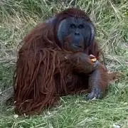 たいちの画像