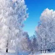 ミルリオ ＊プロフ確認お願いしますの画像