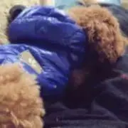 yuuの画像
