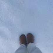 ynの画像