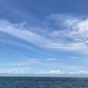 GonzalezTAROの画像