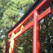 １月末で一旦閉店します。