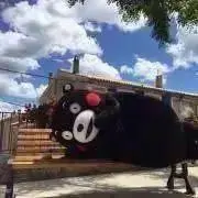 ごろりんの画像