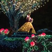 かもめ