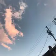 かめの画像