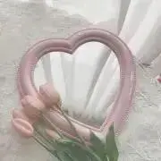 シロの画像