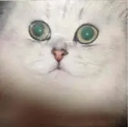 アーサー