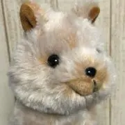 あきの画像