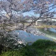 ころんの画像