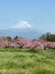 日本国代表の画像