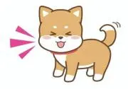 ぷっぷの画像