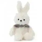たぬちゃんの画像