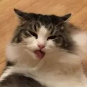 ゆう輔