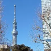かずき(グッズ整理中)の画像