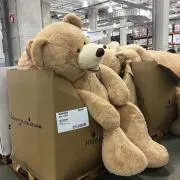 えすの画像