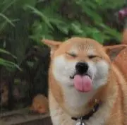 ナオキン