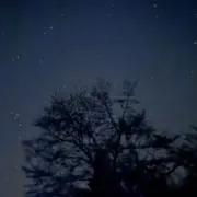 なしあんの画像
