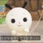 こまつな