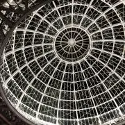 しろの画像