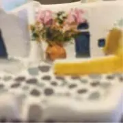 ぽんの画像