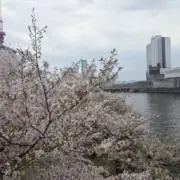 めろんの画像
