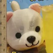 検知　宍倉