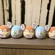 しょーの画像