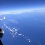 こじーの画像