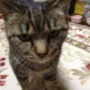 みのる