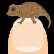 かめれおん男