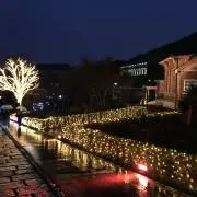 あゆ