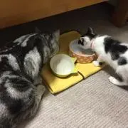 おか
