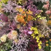 aikf※プロフご確認くださいの画像