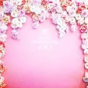 Tsunoの画像