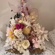 ストロベリーわんわんsatoの画像
