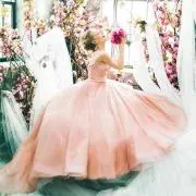 barbieの画像
