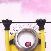 ポムの画像
