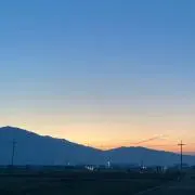 ʕ•̫͡•ིʔྀの画像